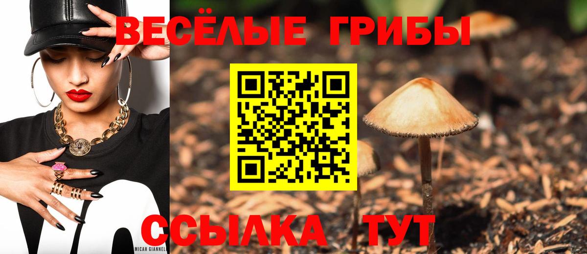 Артём  Галлюциногенные грибы ЛСД  Псилоцибиновые грибы GOLDEN TEACHER  Вход с VPN 